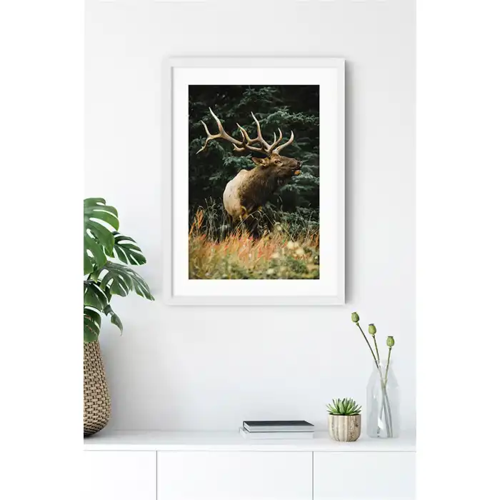 Nature Poster Tablo Seti