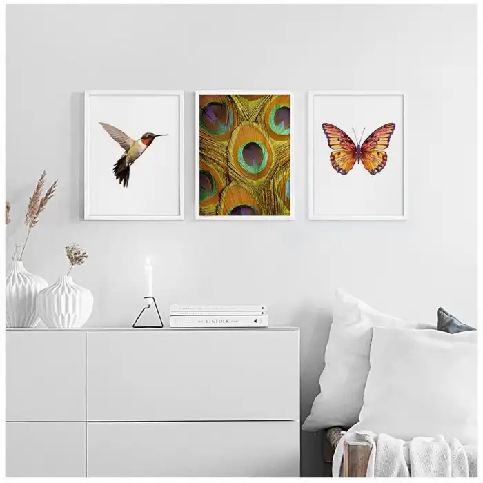 Pavo 3’lü Poster Tablo Seti