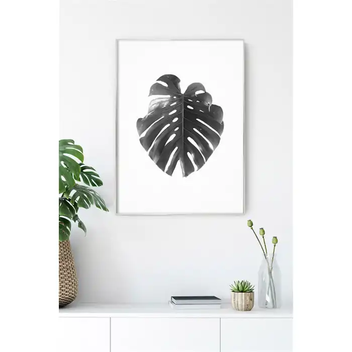 Silik Devetabanı Poster Tablo