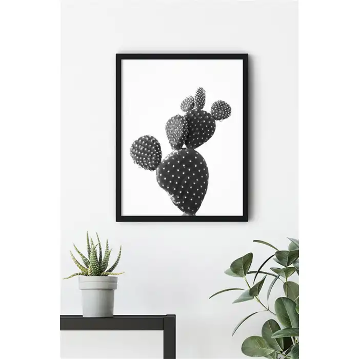 Siyah Beyaz Kaktüs No:1 Poster Tablo