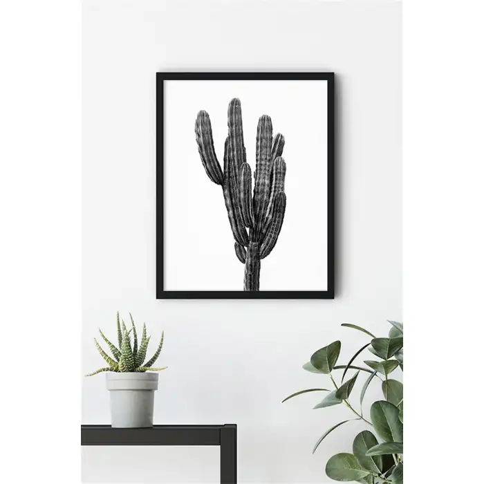 Siyah Beyaz Kaktüs No:2 Poster Tablo