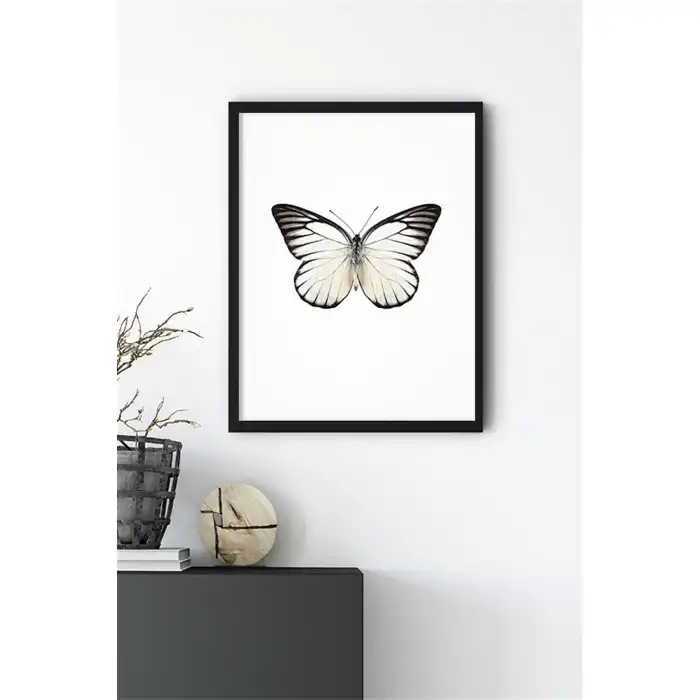 Siyah Beyaz Kelebek No:2 Poster Tablo