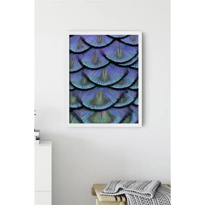 Tavuskuşu Tüyü No:2 Poster Tablo