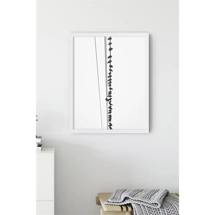 Teldeki Kuşlar Poster Tablo