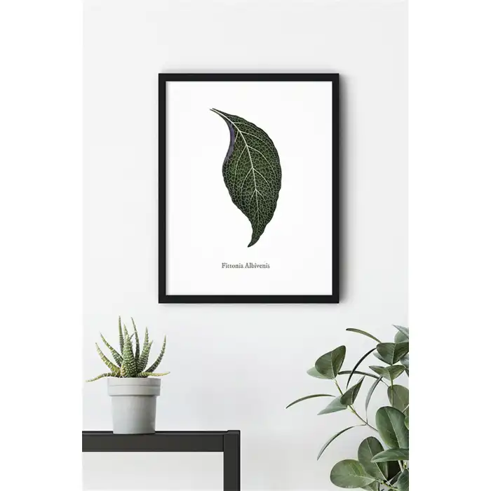 Yaprak No:28 Poster Tablo