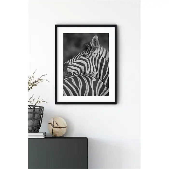 Zebra Poster Tablo No:1