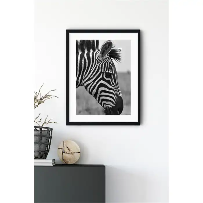 Zebra 6’lı Poster Tablo Seti