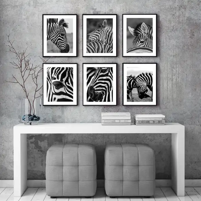 Zebra 6’lı Poster Tablo Seti
