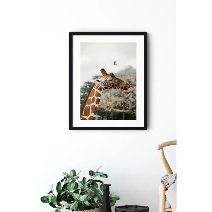 Zürafa Poster Tablo