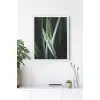 Botanik Detay No:13 Poster Tablo