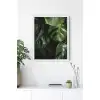 Botanik Detay No:14 Poster Tablo