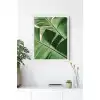 Botanik Detay No:3 Poster Tablo