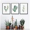 Botanik No:1 3’lü Poster Tablo Seti