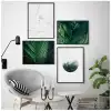 Botanik No:14 4’lü Poster Tablo Seti