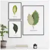 Botanik No:16 Poster Tablo Seti
