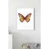 Kahverengi Kelebek Poster Tablo