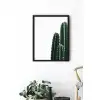 Kaktüs No:4 Poster Tablo