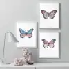 Kelebek 3’lü Poster Tablo Seti