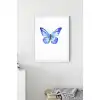 Mavi Kelebek No:1 Poster Tablo