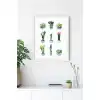 Mini Kaktüsler Poster Tablo