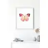 Pembe Kelebek No:1 Poster Tablo
