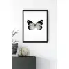 Siyah Beyaz Kelebek No:1 Poster Tablo