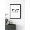 Siyah Beyaz Kelebek No:2 Poster Tablo