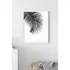 Siyah Beyaz Palmiye Poster Tablo