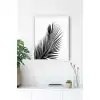 Siyah Beyaz Palmiye Yaprağı No:2 Poster Tablo