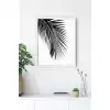 Siyah Beyaz Palmiye Yaprağı No:3 Poster Tablo