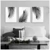 Siyah Beyaz Palmiye Yaprağı 3’lü Poster Tablo Seti