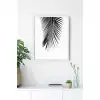 Siyah Beyaz Palmiye Yaprağı 3’lü Poster Tablo Seti