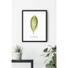 Yaprak No:29 Poster Tablo