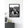 Zebra No:2 Poster Tablo
