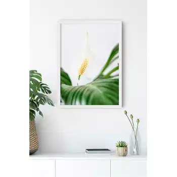 Beyaz Çiçek Poster Tablo No:50