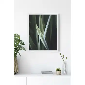 Botanik Detay No:13 Poster Tablo