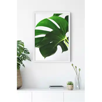 Devetabanı Yaprağı Poster Tablo No:50