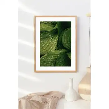 Islak Yaprak Poster Tablo