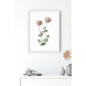 Kafkas Çiçeği Poster Tablo