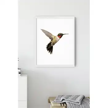 Kahverengi Kuş No:1 Poster Tablo