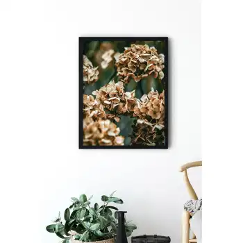 Kahverengi Ortanca Poster Tablo