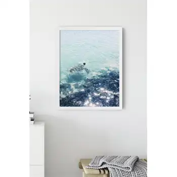 Kaplumbağa Poster Tablo