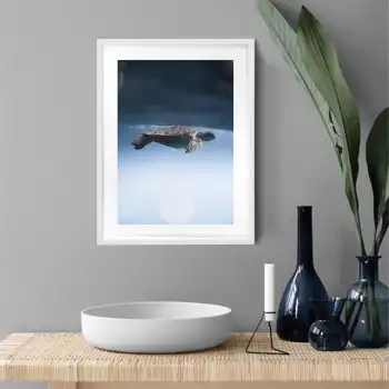 Kaplumbağa Poster Tablo No:2