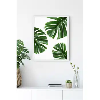 Köşeli Devetabanı Poster Tablo