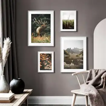 Nature Poster Tablo Seti