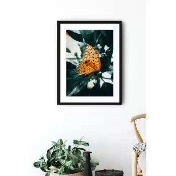 Sarı Kelebek Poster Tablo