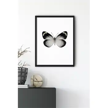 Siyah Beyaz Kelebek No:1 Poster Tablo