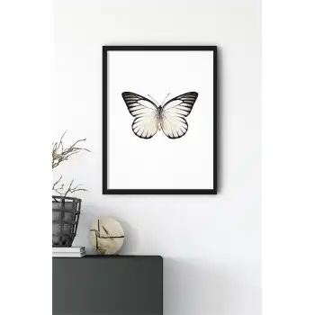 Siyah Beyaz Kelebek No:2 Poster Tablo