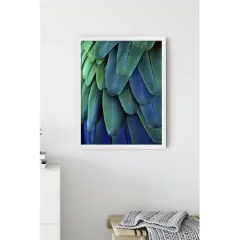 Tüy No:3 Poster Tablo