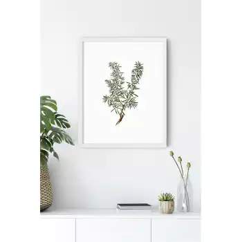 Yaprak No:10 Poster Tablo